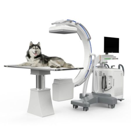 Arco en C Veterinario iRay vCM605